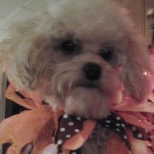 Meet your Posher, Becky